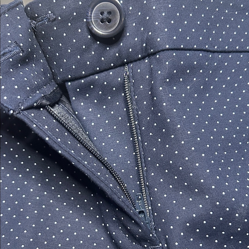 Hilary Radley Navy And White Dotted Capri Pants - Picture 5 of 11
